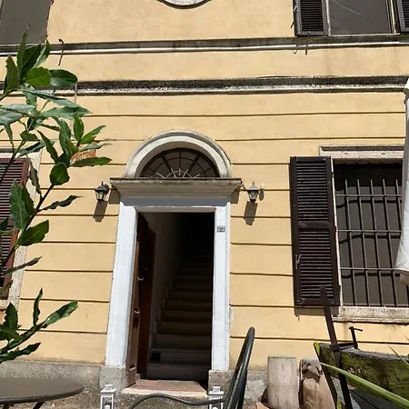 Patrizia Siena