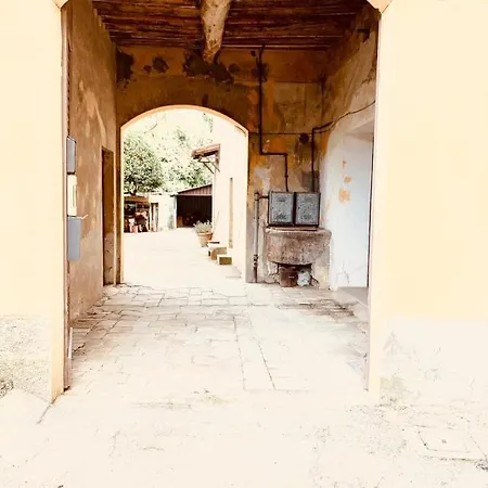 Patrizia Σιένα